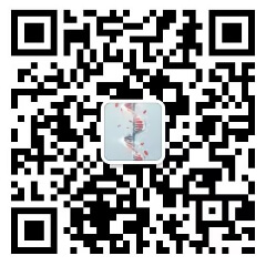 个性化分析-小白